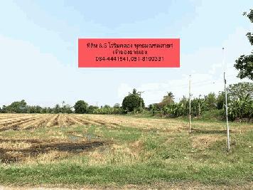 ขายด่วน ที่ดินแปลงสวย ต.คลองโยง อ.พุทธมณฑล จ.นครปฐม 6.5 ไร่ ริมคลอง และติดถนน ทำหมู่บ้าน,โรงงาน,โกดัง เจ้าของขายเอง